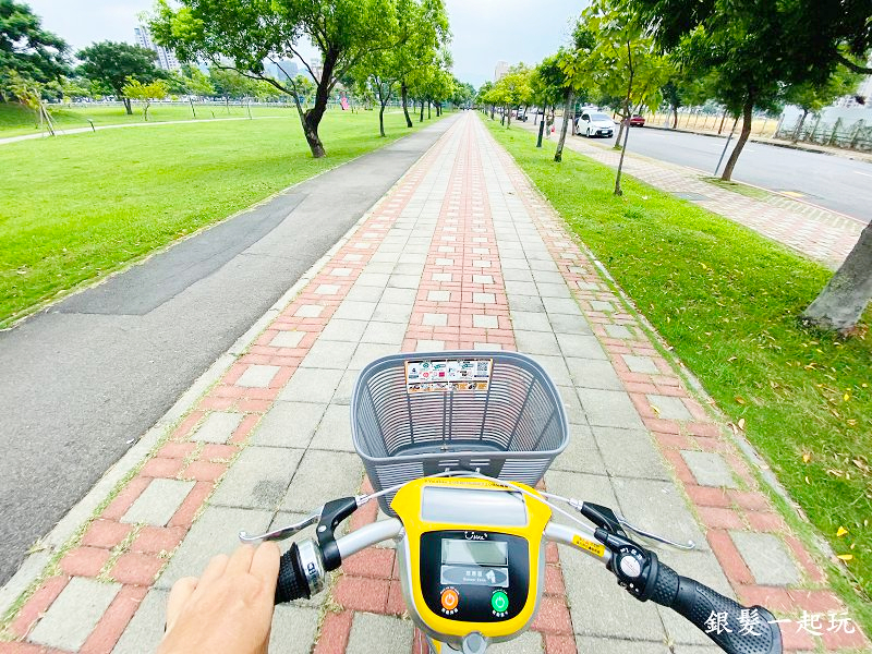 北屯南興公園:台中必來百年芒果樹形似「米奇樹」人氣翻天,綠地、落羽松四季美景一網打盡!