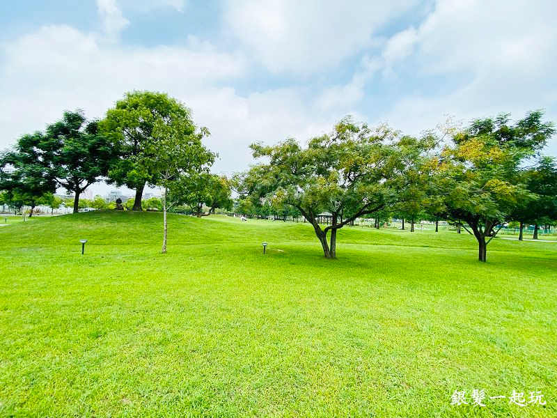 北屯南興公園:台中必來百年芒果樹形似「米奇樹」人氣翻天,綠地、落羽松四季美景一網打盡!