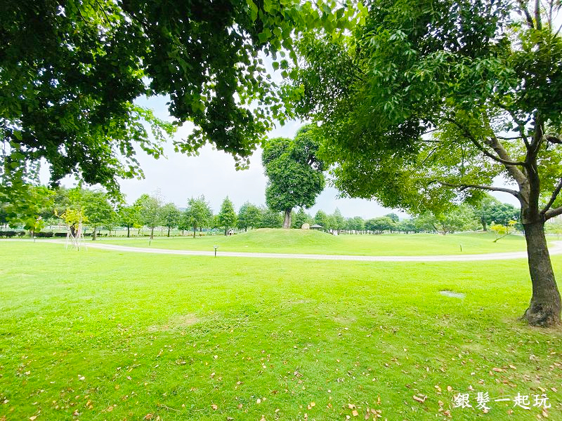 北屯南興公園:台中必來百年芒果樹形似「米奇樹」人氣翻天,綠地、落羽松四季美景一網打盡!