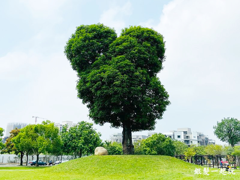 北屯南興公園:台中必來百年芒果樹形似「米奇樹」人氣翻天,綠地、落羽松四季美景一網打盡!