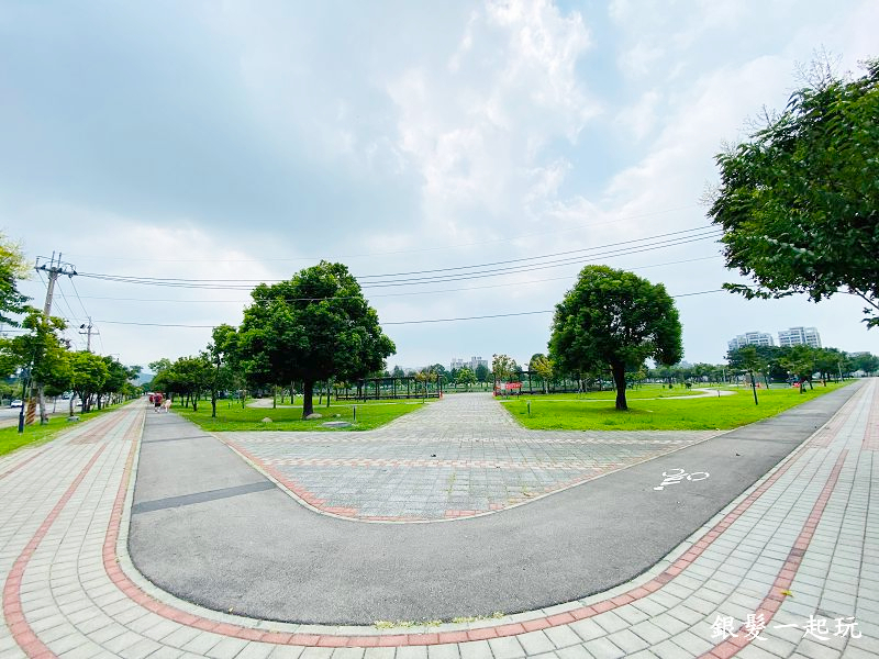 北屯南興公園:台中必來百年芒果樹形似「米奇樹」人氣翻天,綠地、落羽松四季美景一網打盡!