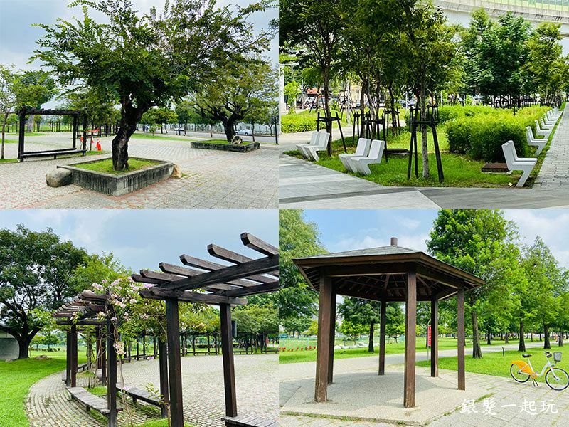 台中米奇樹 台中米奇樹