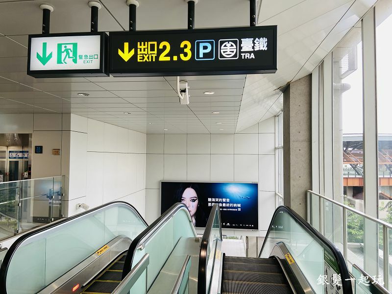 北屯南興公園:台中必來百年芒果樹形似「米奇樹」人氣翻天,綠地、落羽松四季美景一網打盡!