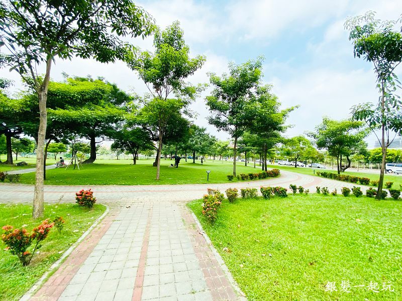 北屯南興公園:台中必來百年芒果樹形似「米奇樹」人氣翻天,綠地、落羽松四季美景一網打盡!