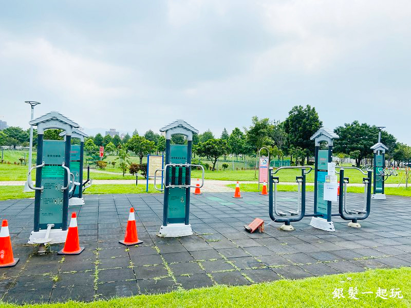 北屯南興公園:台中必來百年芒果樹形似「米奇樹」人氣翻天,綠地、落羽松四季美景一網打盡!