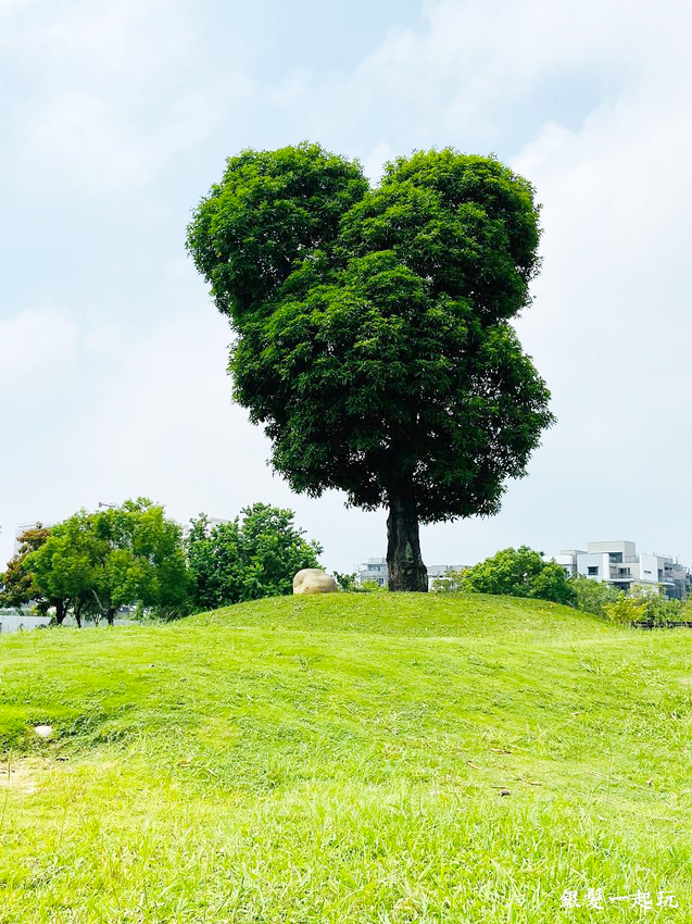 北屯南興公園:台中必來百年芒果樹形似「米奇樹」人氣翻天,綠地、落羽松四季美景一網打盡!