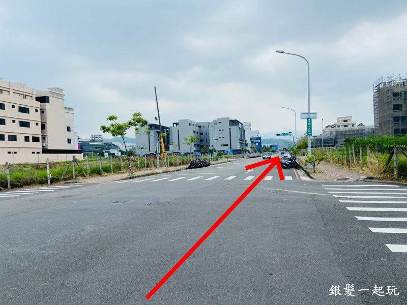 北屯南興公園:台中必來百年芒果樹形似「米奇樹」人氣翻天,綠地、落羽松四季美景一網打盡!