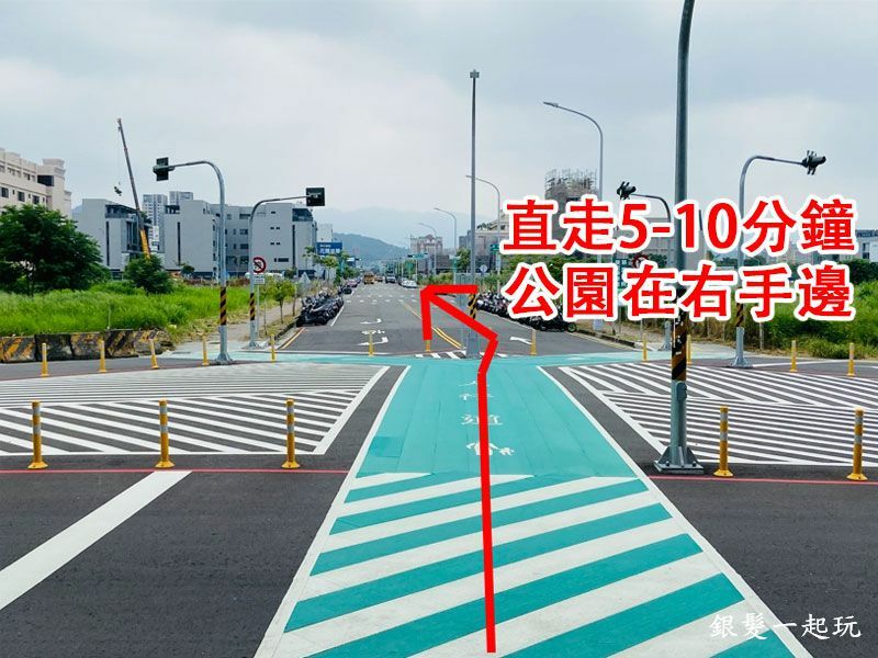 北屯南興公園:台中必來百年芒果樹形似「米奇樹」人氣翻天,綠地、落羽松四季美景一網打盡!