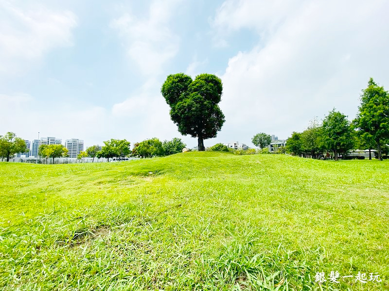 北屯南興公園:台中必來百年芒果樹形似「米奇樹」人氣翻天,綠地、落羽松四季美景一網打盡!