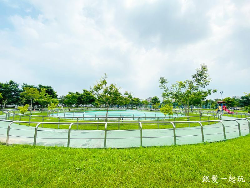 北屯南興公園:台中必來百年芒果樹形似「米奇樹」人氣翻天,綠地、落羽松四季美景一網打盡!
