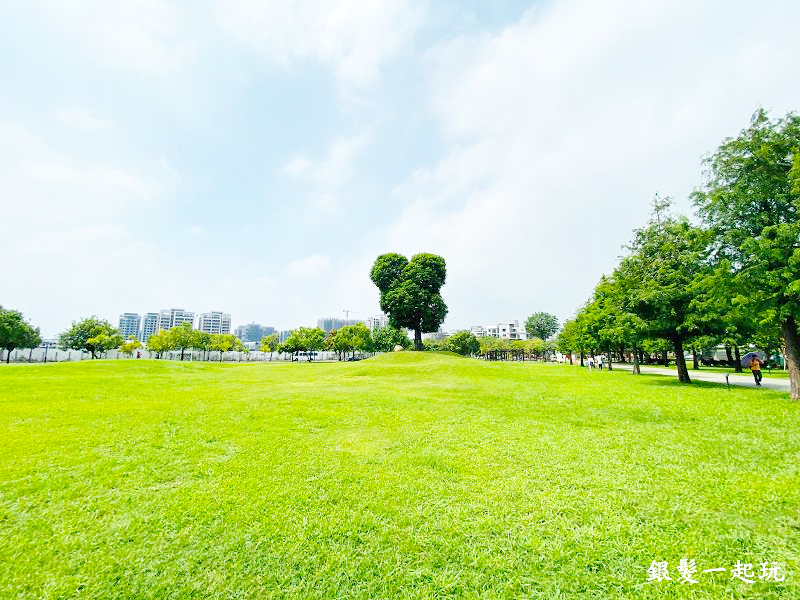 北屯南興公園:台中必來百年芒果樹形似「米奇樹」人氣翻天,綠地、落羽松四季美景一網打盡!