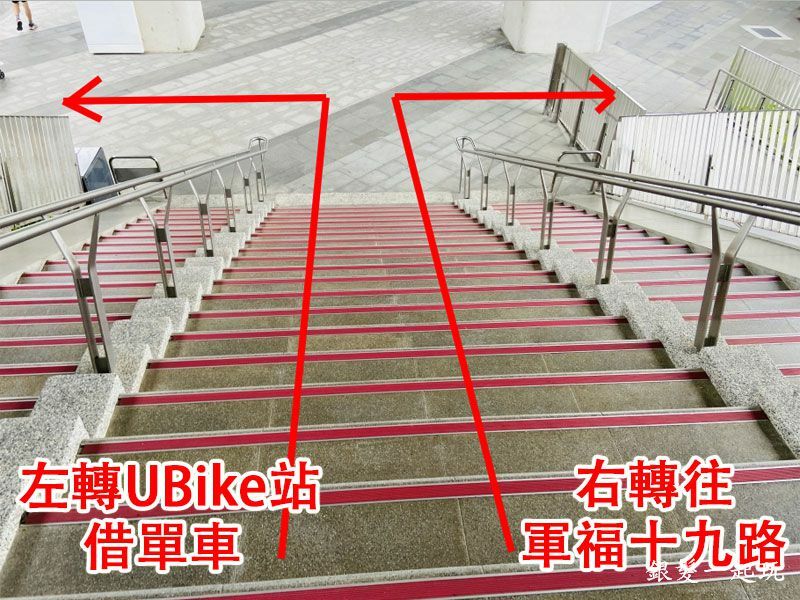 北屯南興公園:台中必來百年芒果樹形似「米奇樹」人氣翻天,綠地、落羽松四季美景一網打盡!