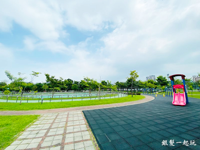 北屯南興公園:台中必來百年芒果樹形似「米奇樹」人氣翻天,綠地、落羽松四季美景一網打盡!
