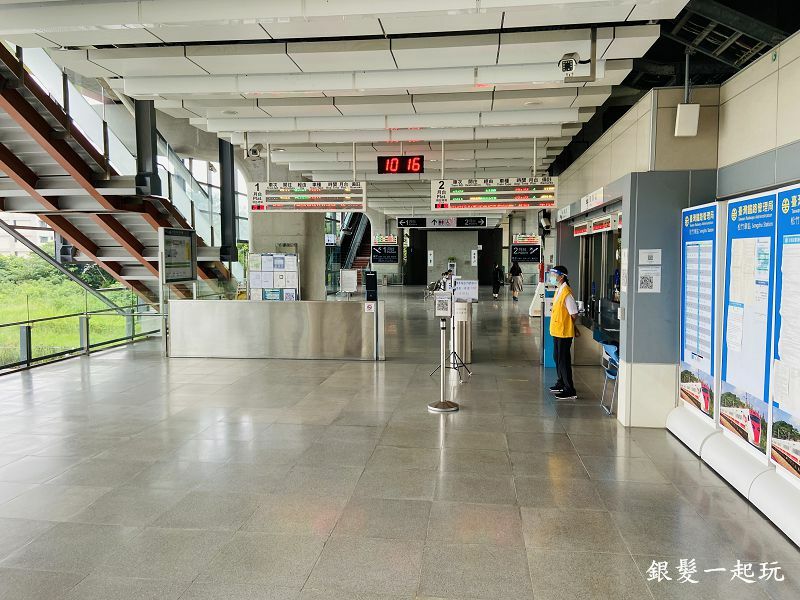 北屯南興公園:台中必來百年芒果樹形似「米奇樹」人氣翻天,綠地、落羽松四季美景一網打盡!