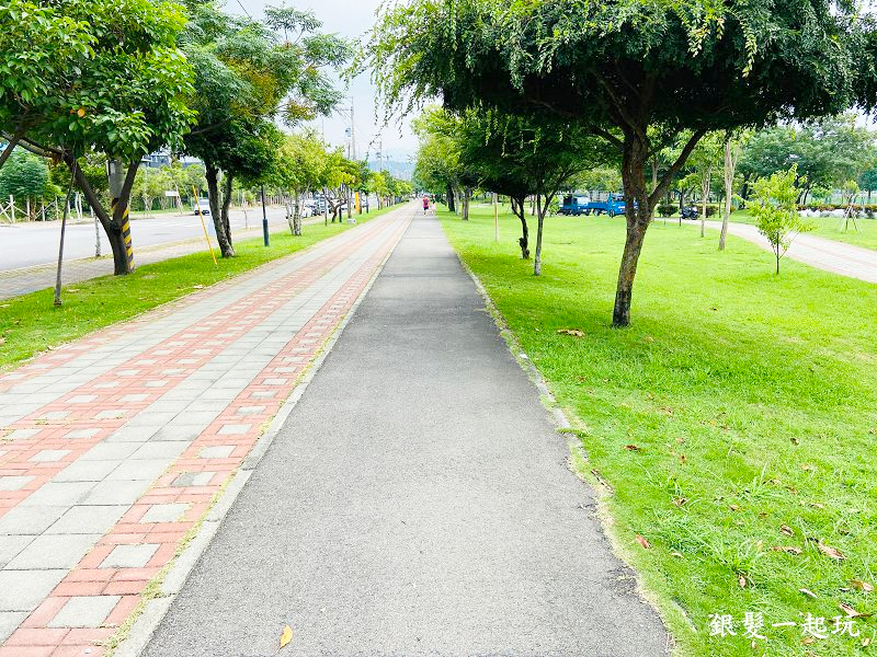 北屯南興公園:台中必來百年芒果樹形似「米奇樹」人氣翻天,綠地、落羽松四季美景一網打盡!