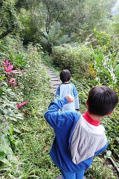 新北步道推薦-深坑炮仔崙瀑布 (9).jpg