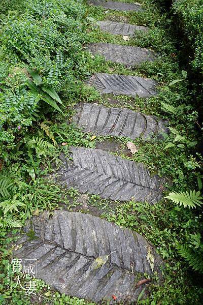 新北步道推薦-深坑炮仔崙瀑布 (3).jpg