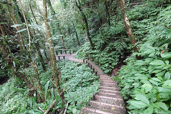 新北步道推薦-深坑炮仔崙瀑布 (4).jpg