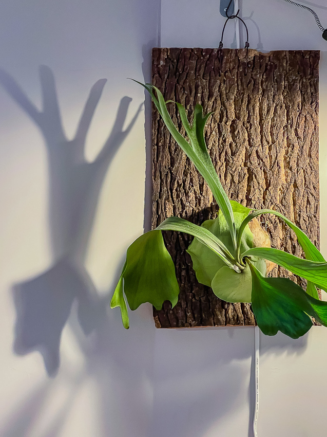 二木咖啡店內環境 二木咖啡店內環境