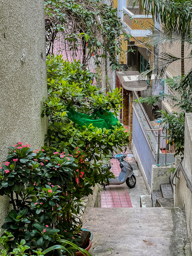 台南美食 - 島鹿喫茶