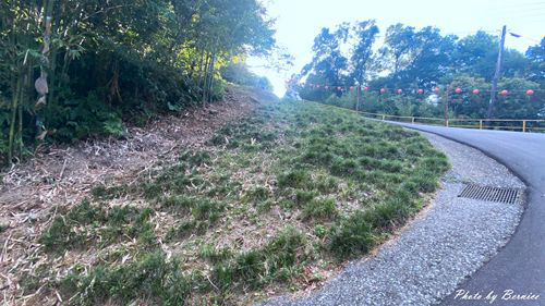 0910 五東山金針14.jpg