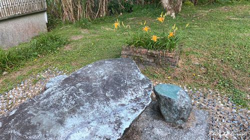 0910 五東山金針15.jpg