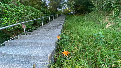 0910 五東山金針13.jpg