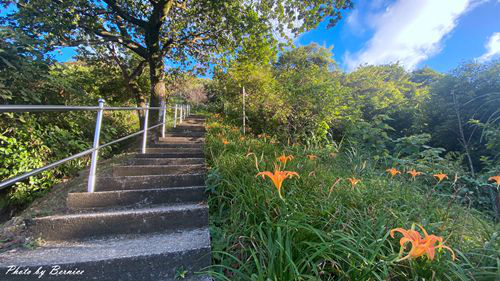 0910 五東山金針06.jpg