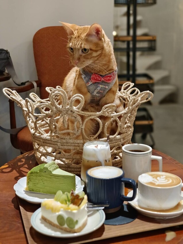 360162.jpg - 【基隆】安樓咖啡。每層樓不同主題裝潢。超好拍推薦。寵物友善咖啡廳咖啡好喝甜點好吃