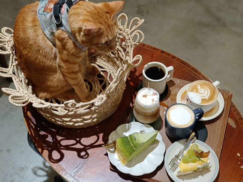 360161.jpg - 【基隆】安樓咖啡。每層樓不同主題裝潢。超好拍推薦。寵物友善咖啡廳咖啡好喝甜點好吃