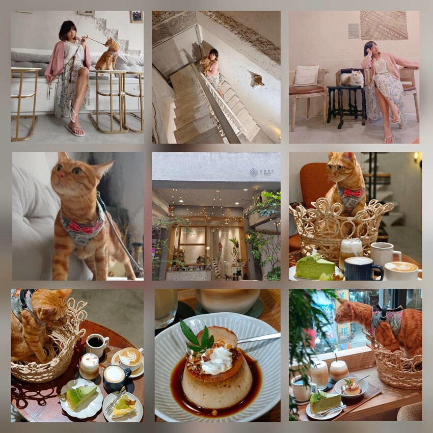 360145.jpg - 【基隆】安樓咖啡。每層樓不同主題裝潢。超好拍推薦。寵物友善咖啡廳咖啡好喝甜點好吃