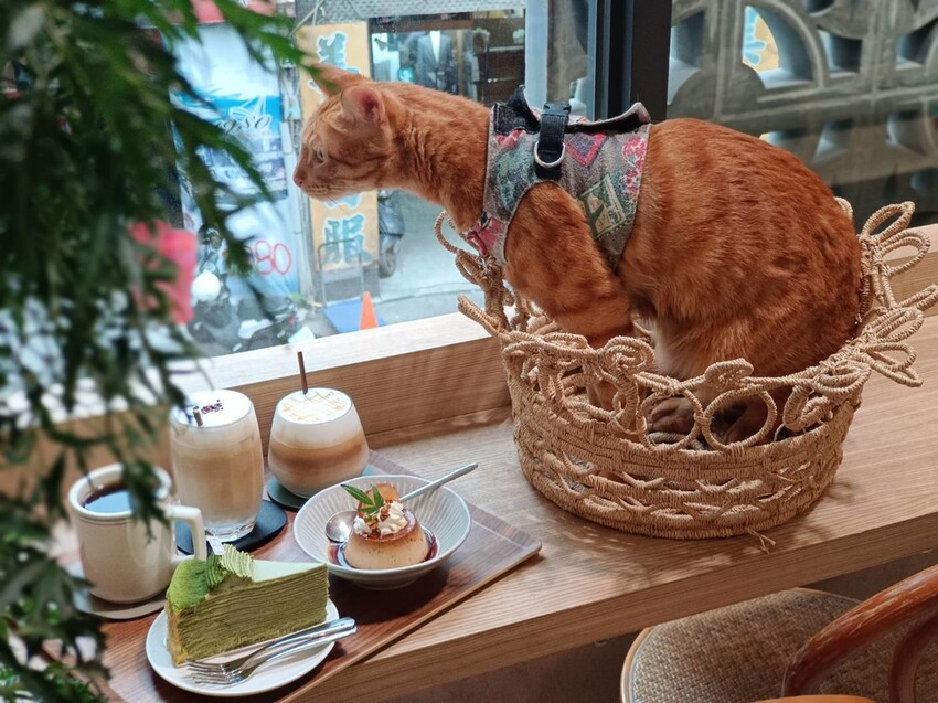 360158.jpg - 【基隆】安樓咖啡。每層樓不同主題裝潢。超好拍推薦。寵物友善咖啡廳咖啡好喝甜點好吃