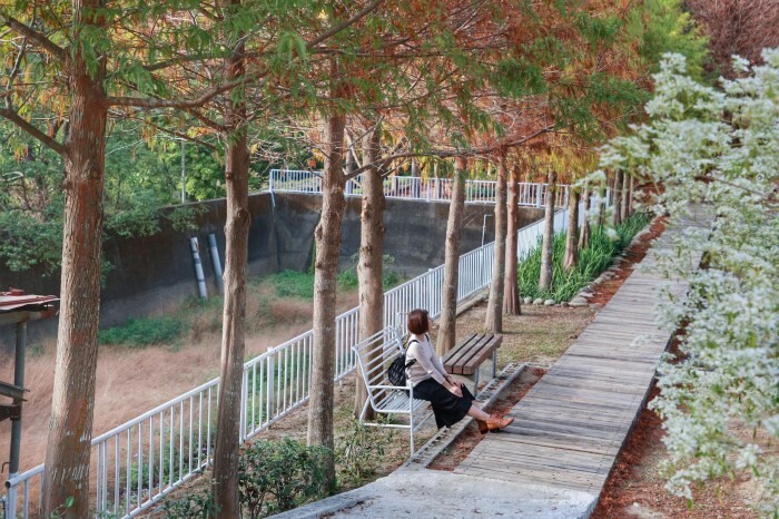 彰化縣員林市八玖鼎港式飲茶員林店｜彰化員林港式料理好道地，港式燒賣小點推車穿梭座位間，超過100道港式料理任選平價