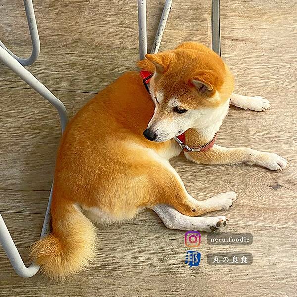 台北市松山區cafe BOMBOM|民生社區氛圍咖啡廳推薦 @neru.foodie / 丸の良食