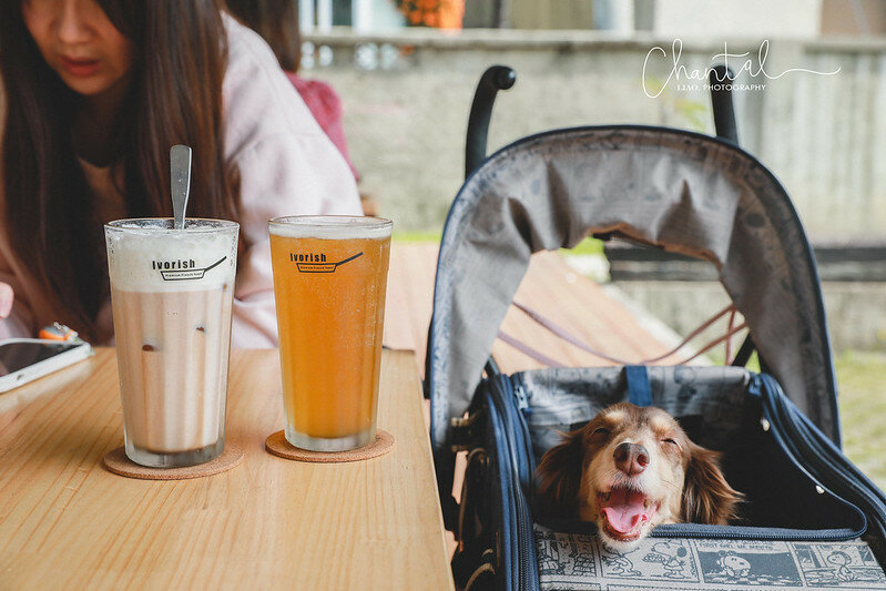 1J6A2965拷貝-2 拷貝