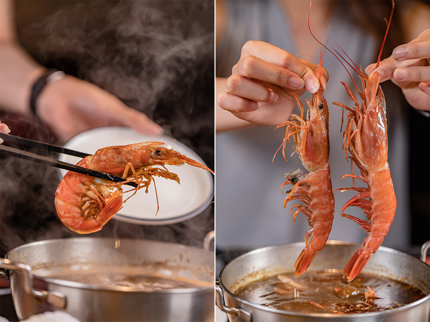 天使紅蝦 天使紅蝦