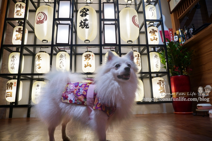 容燒居酒屋崇德加盟店和可愛狗狗一起吃串燒、喝啤酒,享受日式美味料理寵物餐寵物友善餐廳台中北區DSC03717_副本.jpg