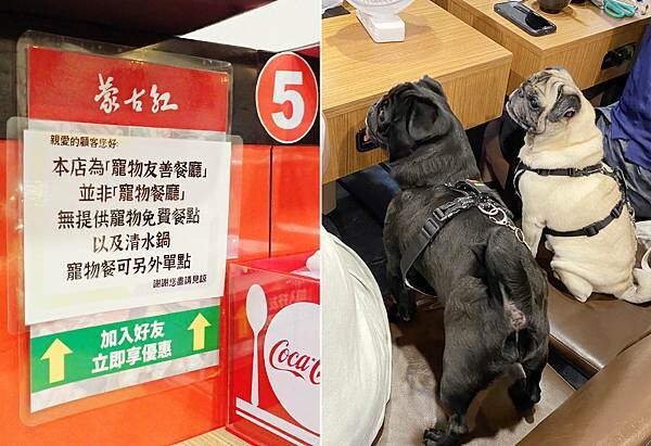 新北蘆洲吃到飽麻辣火鍋-蒙古紅鴛鴦麻辣鍋-超過八十道品項吃到飽,蔬食、海鮮、肉品 稀珍又新鮮,還有被耽誤的滷肉飯,也可以單點火鍋套餐!蘆洲吃到飽推薦-75.jpg