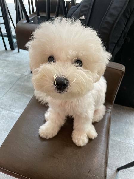 /tmp/php7OpZ7j /tmp/php7OpZ7j