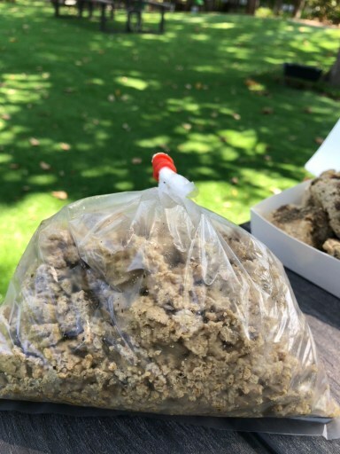 新莊食記｜一派胡塩酵素臭豆腐: 全素 椒鹽酥炸臭豆腐/湯頭好好喝的紅燒蔬菜湯