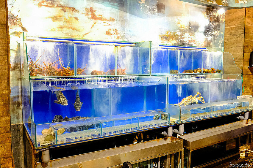 極鮮活龍蝦搭主廚現做燒賣，印月餐廳新菜推黑潮野生魚，還有特色炒冰清涼一夏！