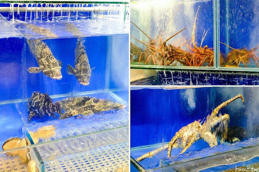 極鮮活龍蝦搭主廚現做燒賣，印月餐廳新菜推黑潮野生魚，還有特色炒冰清涼一夏！