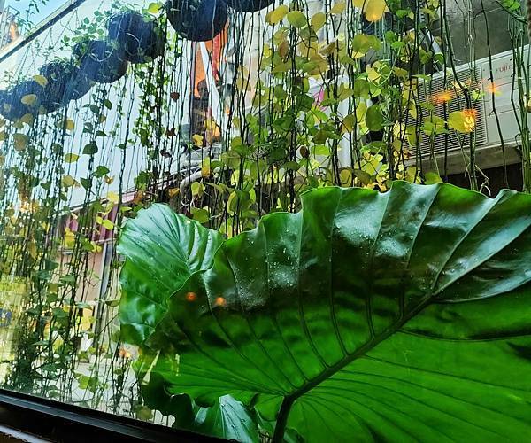 /tmp/phpV2Vupp /tmp/phpV2Vupp