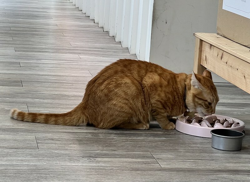 【台灣，桃園市，中壢區】Warm Air - 暖空咖啡，被「割包」耽誤的咖啡店。（中壢美食/中壢咖啡館/中壢刈包）