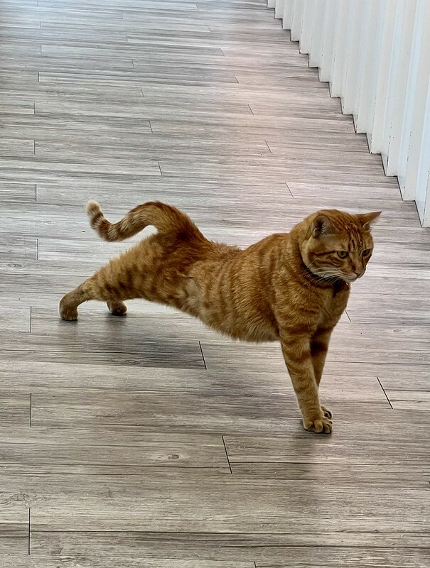 【台灣，桃園市，中壢區】Warm Air - 暖空咖啡，被「割包」耽誤的咖啡店。（中壢美食/中壢咖啡館/中壢刈包）