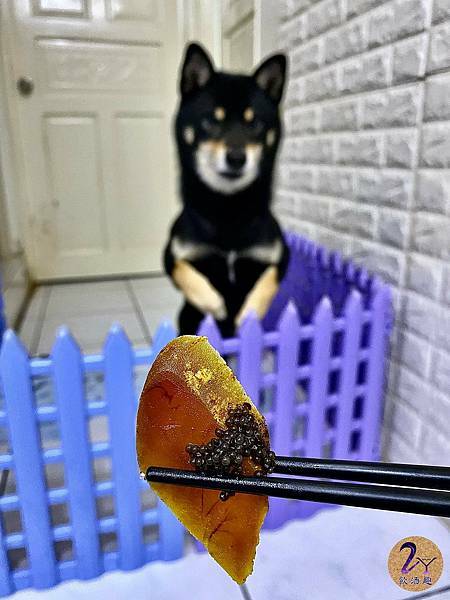 LINE_ALBUM_實生魚片_211216_39