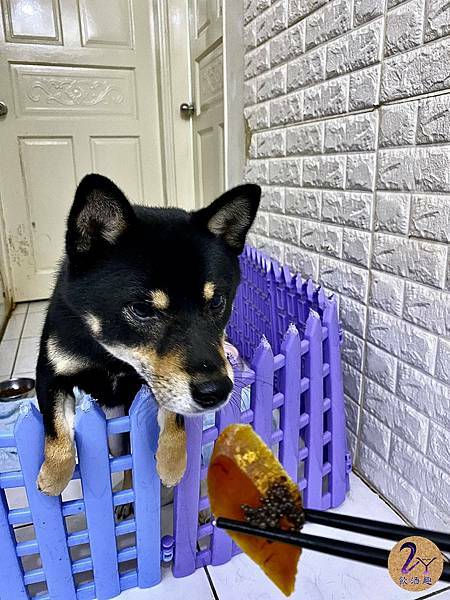 LINE_ALBUM_實生魚片_211216_38