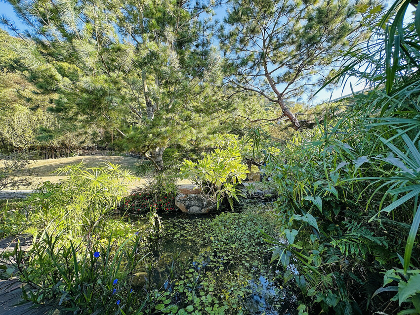 【蟬說：山中靜靜】台中酒桶山豪華秋冬露營，桂花弄帳篷區絕美景