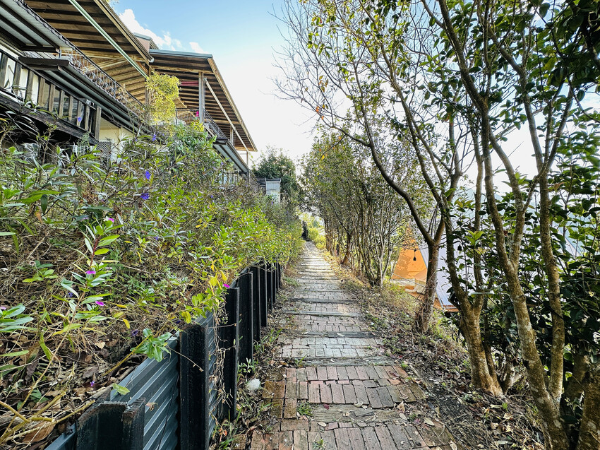 【蟬說：山中靜靜】台中酒桶山豪華秋冬露營，桂花弄帳篷區絕美景