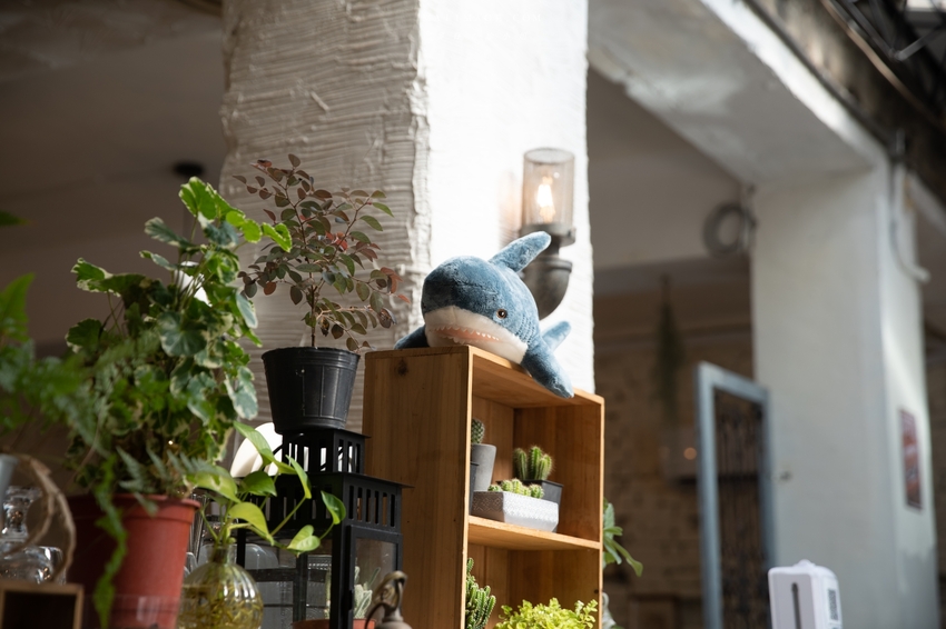 森林系咖啡又一間值得收藏，來這用餐記憶卡要夠，室內室外都超好拍！